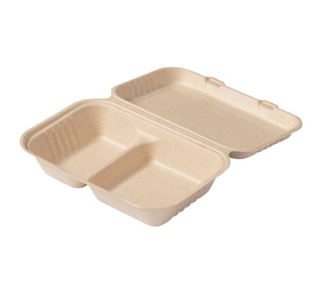 Hamburgermenubox bagasse 250x165x70mm 2-vaks